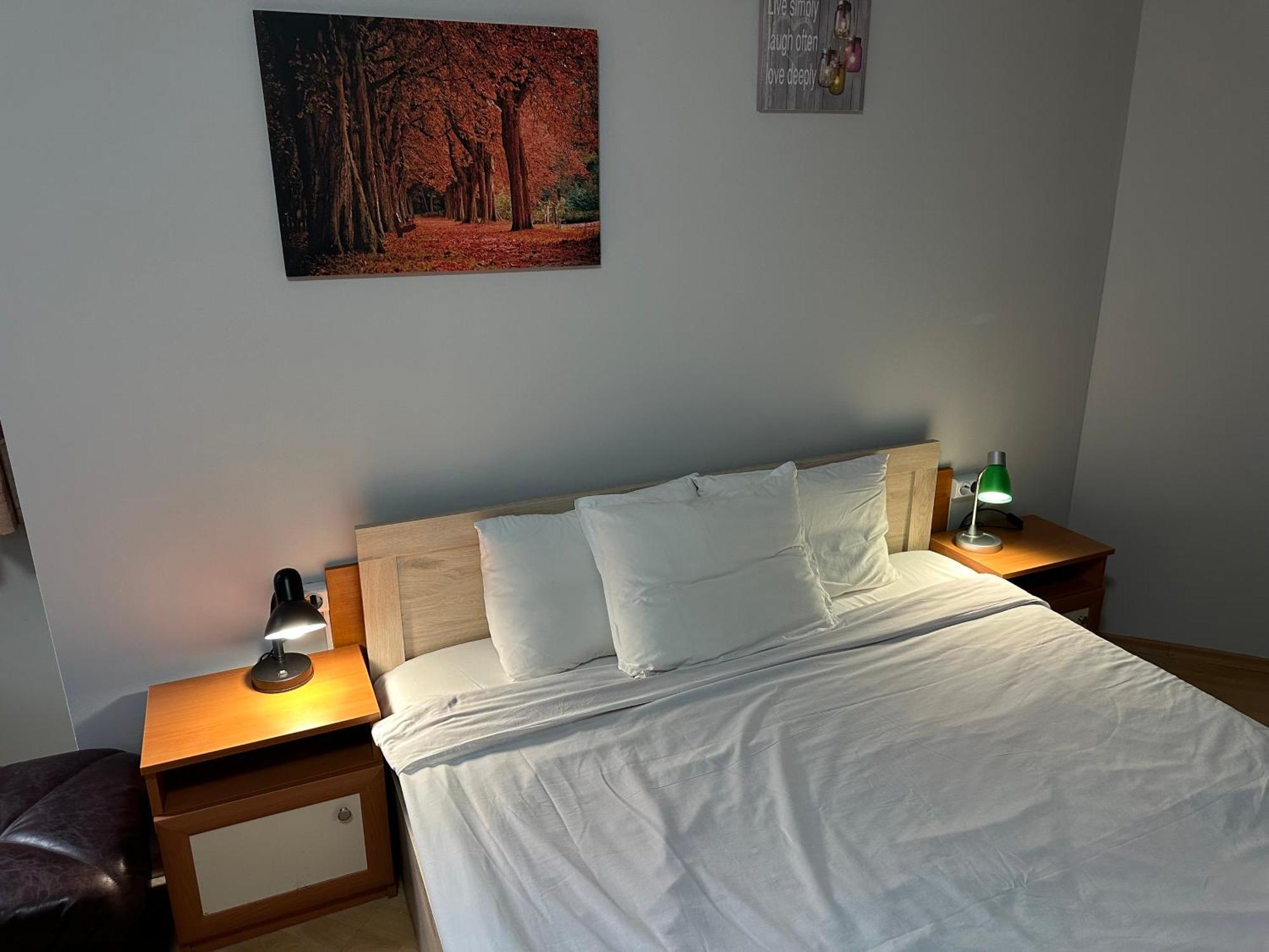 Studio In Hotel Flora Borovets Eksteriør bilde