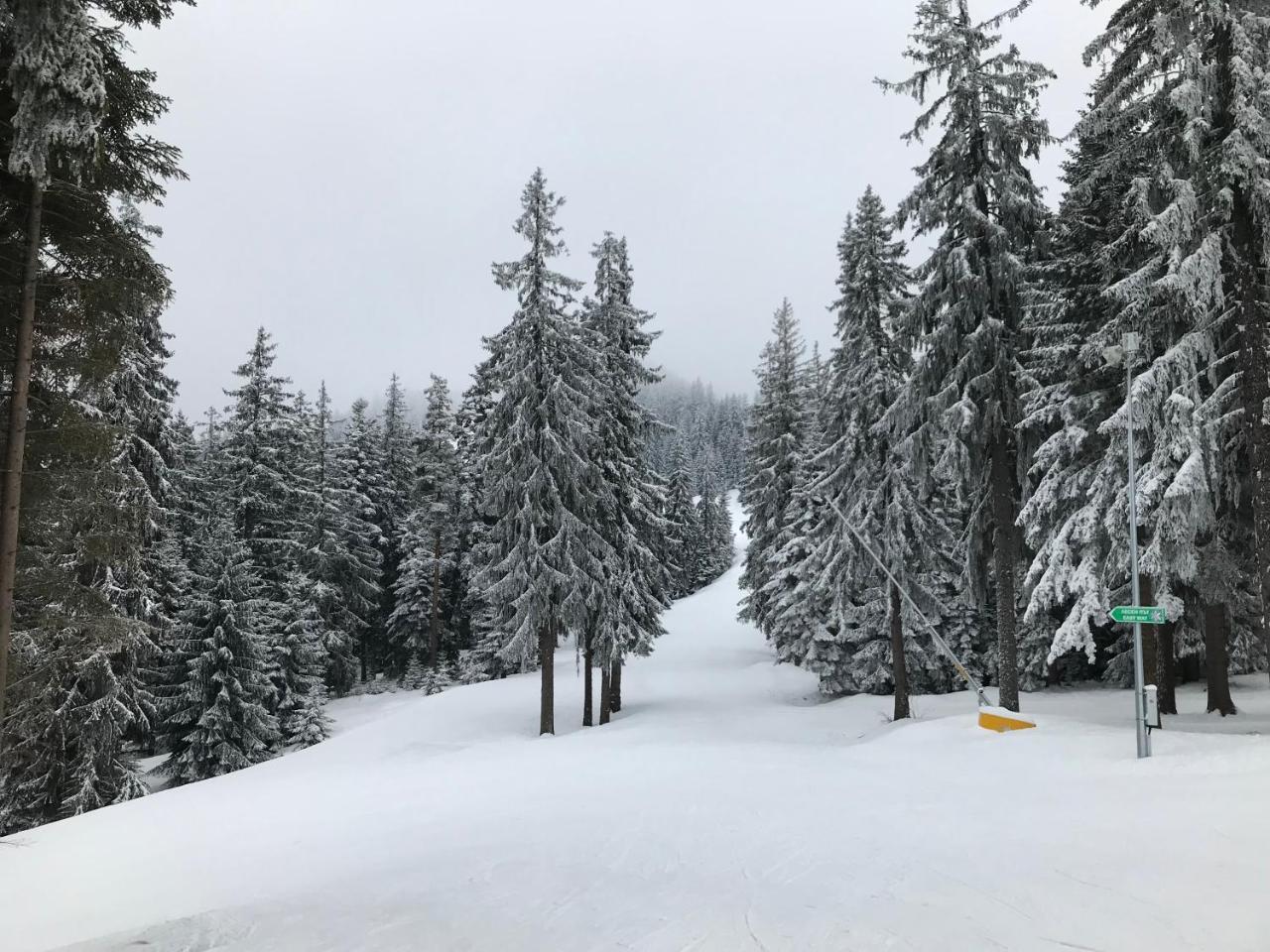 Studio In Hotel Flora Borovets Eksteriør bilde